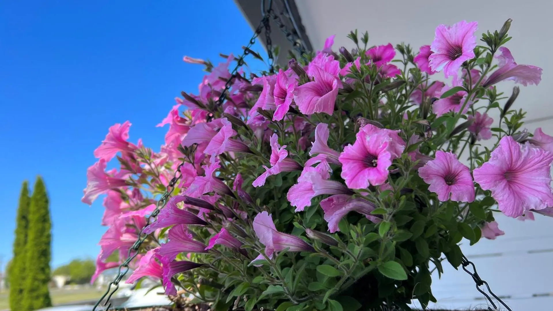 Ashbrook Motel Taupo